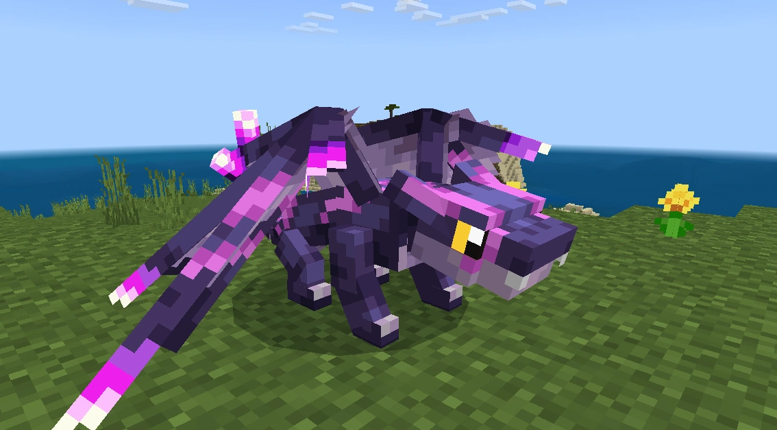 Dragon customization